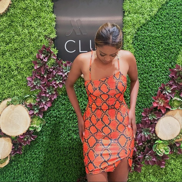 PrettyLittleThing Snake Print Dress - Picture 1 of 3